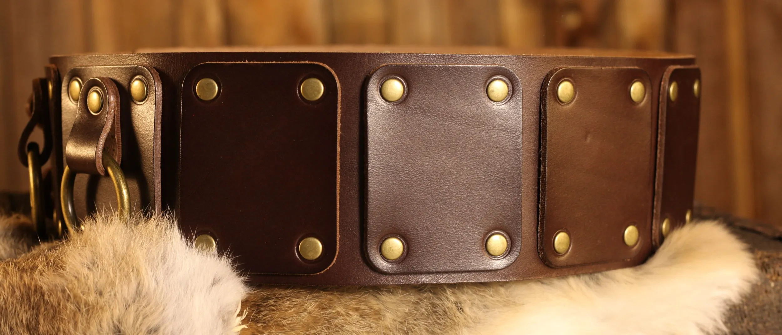Breitgürtel aus Leder, 10cm, mit Ringen