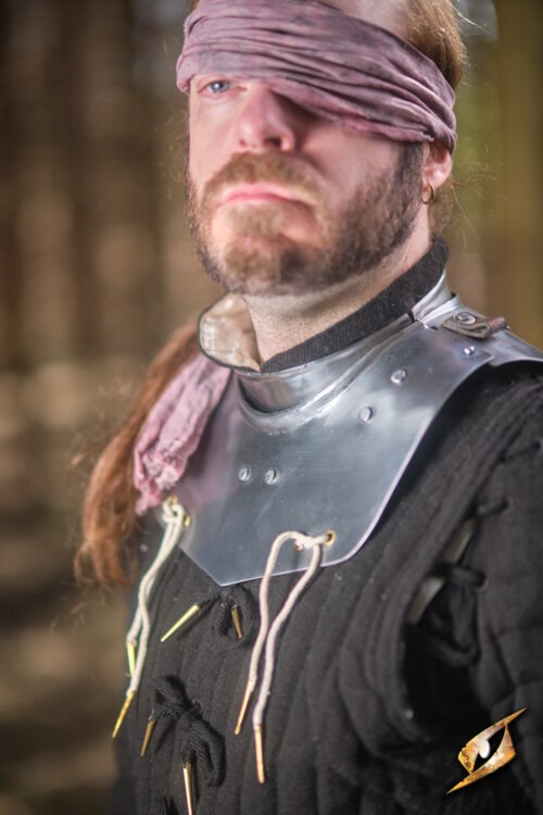 Plattenkragen Hauptmann, Stahl